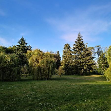 Entire Forest Home Near Nature & Amenities Σάρρεϋ Εξωτερικό φωτογραφία