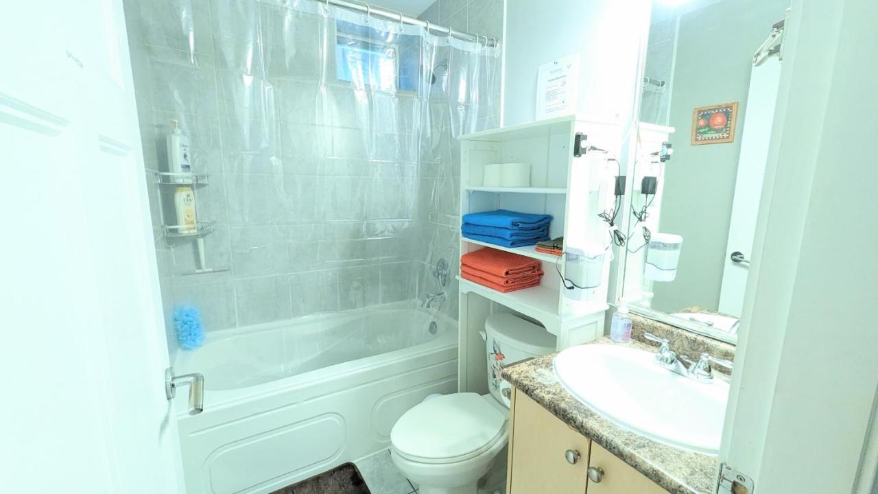 Entire Forest Home Near Nature & Amenities Σάρρεϋ Εξωτερικό φωτογραφία