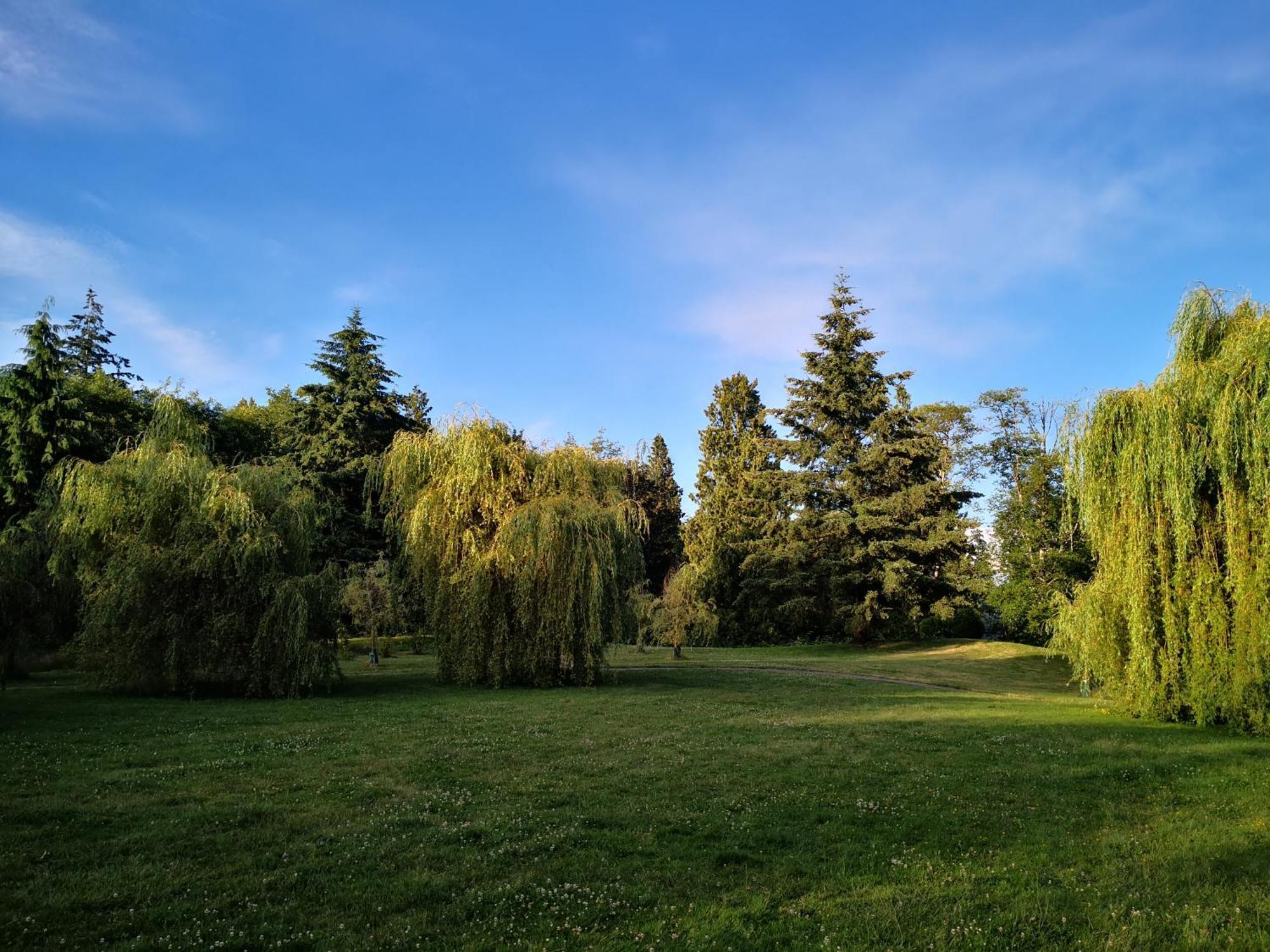 Entire Forest Home Near Nature & Amenities Σάρρεϋ Εξωτερικό φωτογραφία